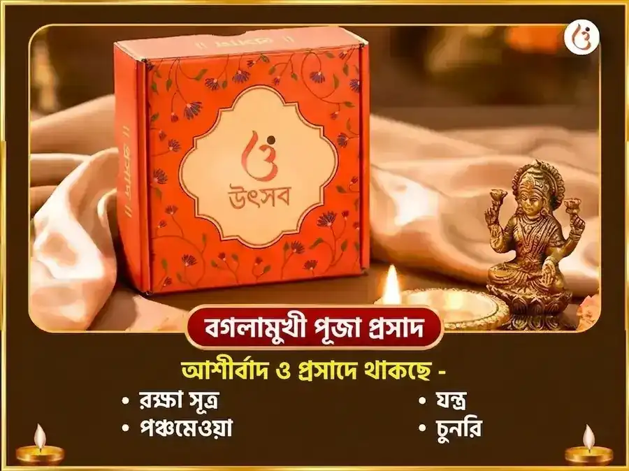 কালী জয়ন্তী বিশেষ মা বগলামুখী 125000 লাল মির্চ हवन এবং 11000 ভদ্রকালী কবচ পাঠ puja gallery 3