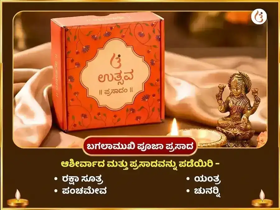 ಕಾಳಿ ಜಯಂತಿ ವಿಶೇಷ ಮಾ ಬಗಲಾಮುಖಿ 125000 ಲಾಲ್ ಮಿರ್ಚ್ ಹವನ ಮತ್ತು 11000 ಭದ್ರಕಾಳಿ ಕವಚ ಪಠಣ puja gallery 3