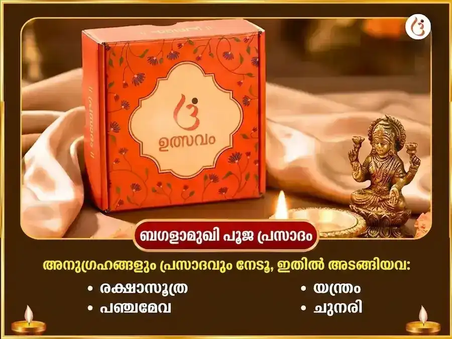 കാളി ജയന്തി വിശേഷ് മാ ബഗളാമുഖി 125000 ലാൽ മിർച്ച് ഹവൻ & 11000 ഭദ്രകാളി കവച പാഠം puja gallery 3