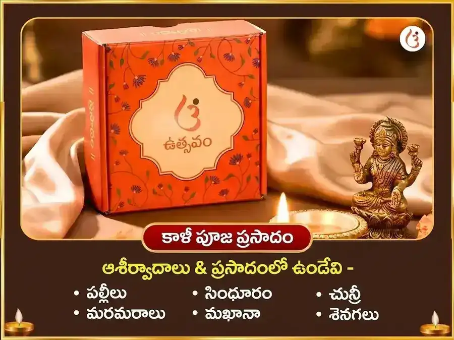 కాళీ జయంతి విశేష్ మా బగళాముఖి 125000 లాల్ మిర్చ్ హవనం & 11000 భద్రకాళి కవచ పారాయణం puja gallery 4