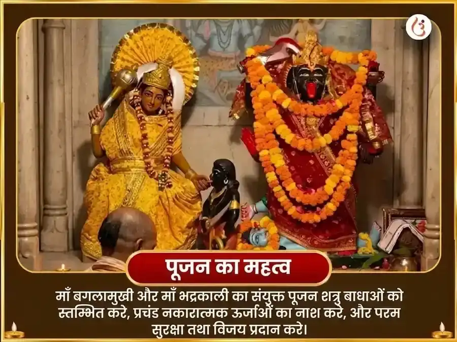 काली जयंती विशेष माँ बगलामुखी 125000 लाल मिर्च हवन और 11000 भद्रकाली कवच पाठ puja gallery 5