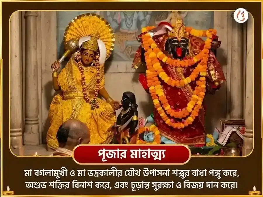 কালী জয়ন্তী বিশেষ মা বগলামুখী 125000 লাল মির্চ हवन এবং 11000 ভদ্রকালী কবচ পাঠ puja gallery 5