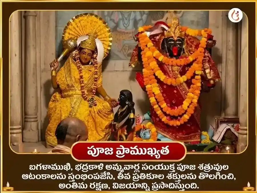 కాళీ జయంతి విశేష్ మా బగళాముఖి 125000 లాల్ మిర్చ్ హవనం & 11000 భద్రకాళి కవచ పారాయణం puja gallery 5