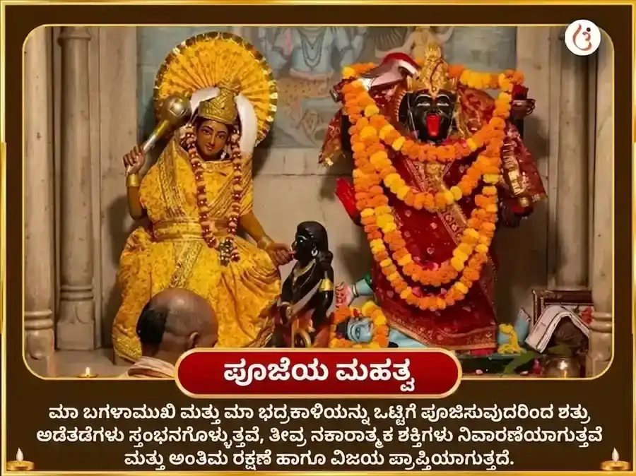 ಕಾಳಿ ಜಯಂತಿ ವಿಶೇಷ ಮಾ ಬಗಲಾಮುಖಿ 125000 ಲಾಲ್ ಮಿರ್ಚ್ ಹವನ ಮತ್ತು 11000 ಭದ್ರಕಾಳಿ ಕವಚ ಪಠಣ puja gallery 5