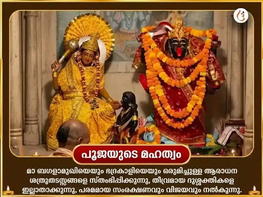 കാളി ജയന്തി വിശേഷ് മാ ബഗളാമുഖി 125000 ലാൽ മിർച്ച് ഹവൻ & 11000 ഭദ്രകാളി കവച പാഠം puja gallery 5