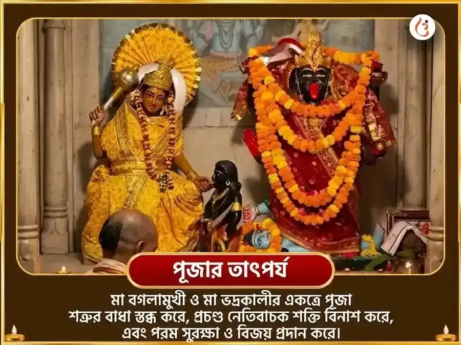কালী জয়ন্তী বিশেষ মা বগলামুখী 125000 লাল মির্চ हवन এবং 11000 ভদ্রকালী কবচ পাঠ puja gallery 6