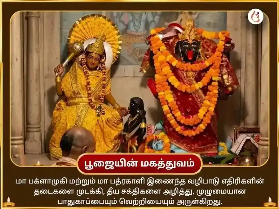 காளி ஜெயந்தி விசேஷ மா பக்ளாமுகி 125000 லால் மிர்ச் ஹவன் மற்றும் 11000 பத்ரகாளி கவச் பாத் puja gallery 6