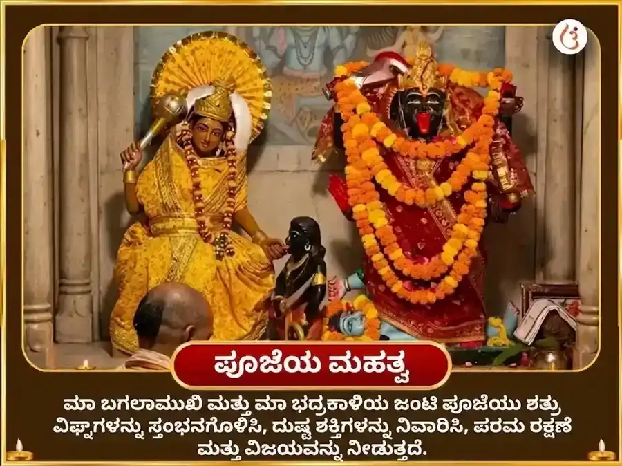 ಕಾಳಿ ಜಯಂತಿ ವಿಶೇಷ ಮಾ ಬಗಲಾಮುಖಿ 125000 ಲಾಲ್ ಮಿರ್ಚ್ ಹವನ ಮತ್ತು 11000 ಭದ್ರಕಾಳಿ ಕವಚ ಪಠಣ puja gallery 6