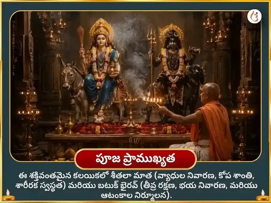ఆపదుద్ధారక బటుక భైరవ స్తోత్ర సహిత కవచ పాఠం మరియు రోగ-బాధా వినాశక మహాతంత్ర హవనం puja gallery 4