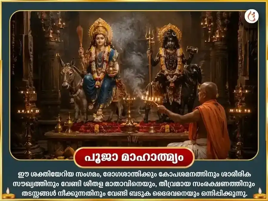 ആപദുദ്ധാരക ബടുക ഭൈരവ സ്തോത്ര സഹിത കവച പാഠവും രോഗ-ബാധാ വിനാശക മഹാതന്ത്ര ഹവനവും puja gallery 4