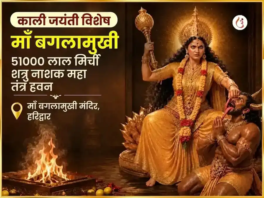 काली जयंती विशेष माँ बगलामुखी 51000 लाल मिर्च शत्रु नाशक महा तंत्र हवन puja image 1