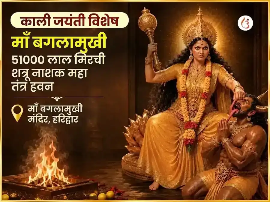 काली जयंती विशेष माँ बगलामुखी 51000 लाल मिरची शत्रु नाशक महा तंत्र हवन puja image 1
