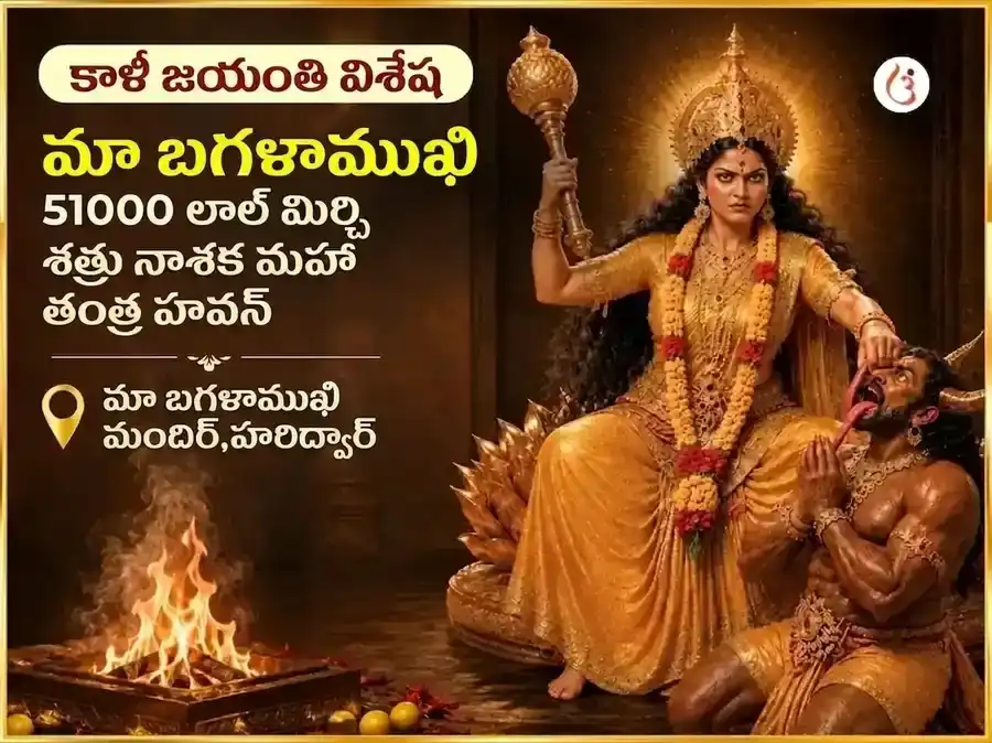కాళీ జయంతి విశేష్ మా బగళాముఖి 51000 లాల్ మిర్చి శత్రు నాశక్ మహా తంత్ర హవనం puja image 1