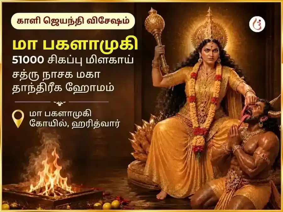 காளி ஜெயந்தி விசேஷ மா பக்ளாமுகி 51000 சிவப்பு மிளகாய் சத்ரு நாசக மகா தந்திர ஹவன் puja image 1