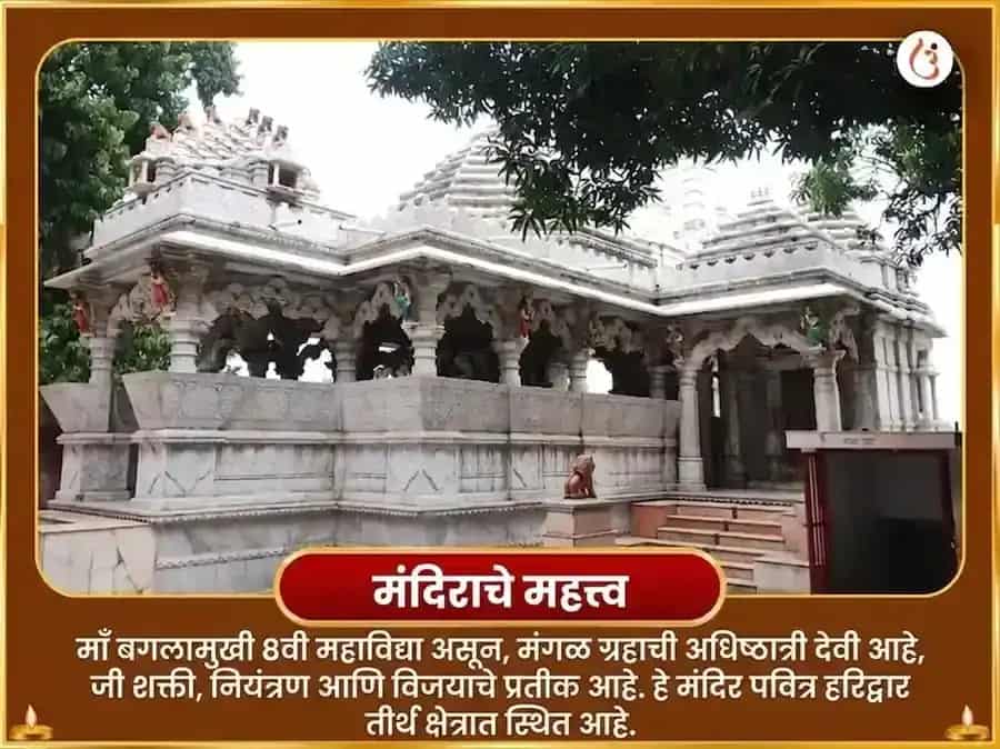 काली जयंती विशेष माँ बगलामुखी 51000 लाल मिरची शत्रु नाशक महा तंत्र हवन puja gallery 4