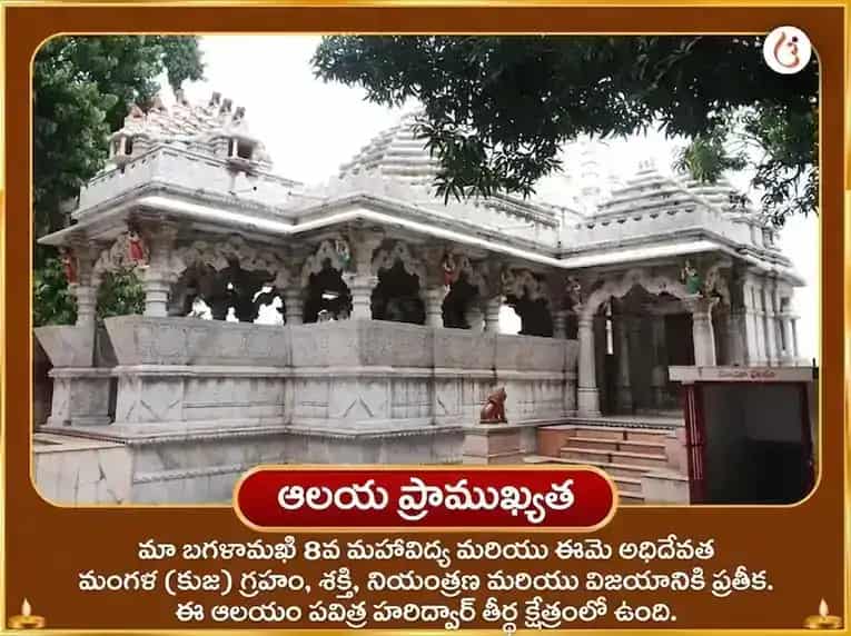 కాళీ జయంతి విశేష్ మా బగళాముఖి 51000 లాల్ మిర్చి శత్రు నాశక్ మహా తంత్ర హవనం puja gallery 4