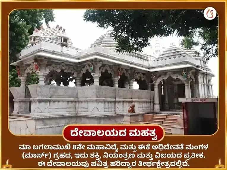 ಕಾಳಿ ಜಯಂತಿ ವಿಶೇಷ ಮಾ ಬಗಲಾಮುಖಿ 51000 ಲಾಲ್ ಮಿರ್ಚಿ ಶತ್ರು ನಾಶಕ ಮಹಾ ತಂತ್ರ ಹವನ puja gallery 4