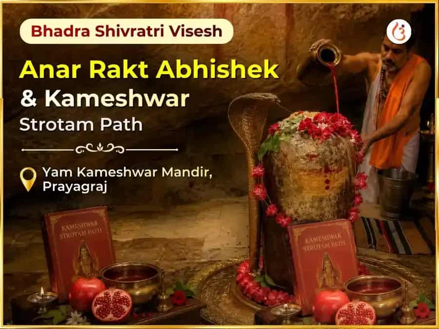 Bhadra Shivratri Vishesh Anar Rakt Abhishek & Kameshwar Strotam Path puja image 1