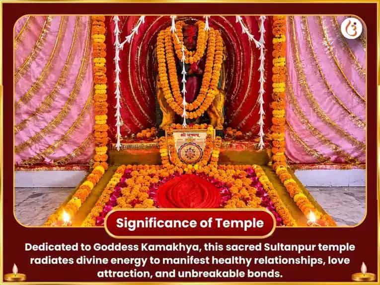 Koushiki Amavasya Visesh Kamakhya Ambika Shakti Maha Tantra Yagna & Sarva Karma Kameshti Hawan puja gallery 4