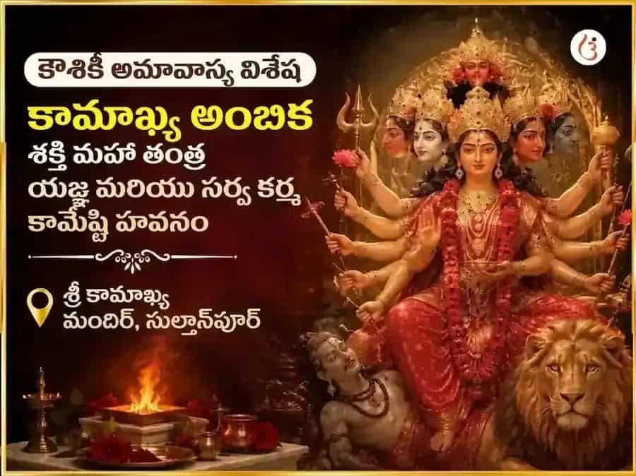 కౌశికీ అమావాస్య విశేష్ కామాఖ్య అంబికా శక్తి మహా తంత్ర యజ్ఞం & సర్వ కర్మ కామేష్టి హవనం puja image 1