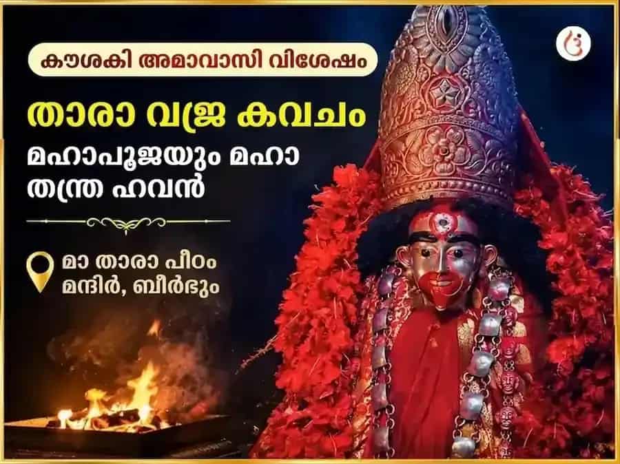 കൗശികി അമാവാസി വിശേഷ് താരാ വജ്ര കവച മഹാപൂജയും മഹാ തന്ത്ര ഹവനവും puja image 1