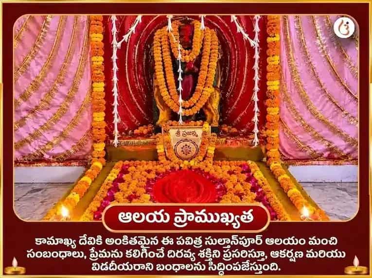కౌశికీ అమావాస్య విశేష్ కామాఖ్య అంబికా శక్తి మహా తంత్ర యజ్ఞం & సర్వ కర్మ కామేష్టి హవనం puja gallery 4