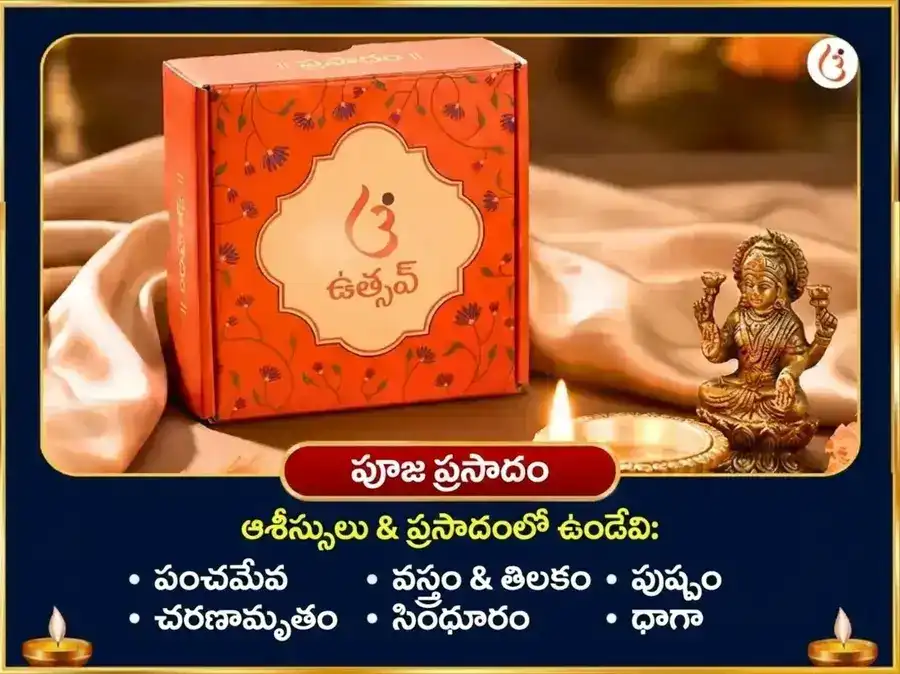 కౌశికీ అమావాస్య విశేష తారా వజ్ర కవచ మహాపూజ మరియు మహా తంత్ర హవనం puja gallery 3