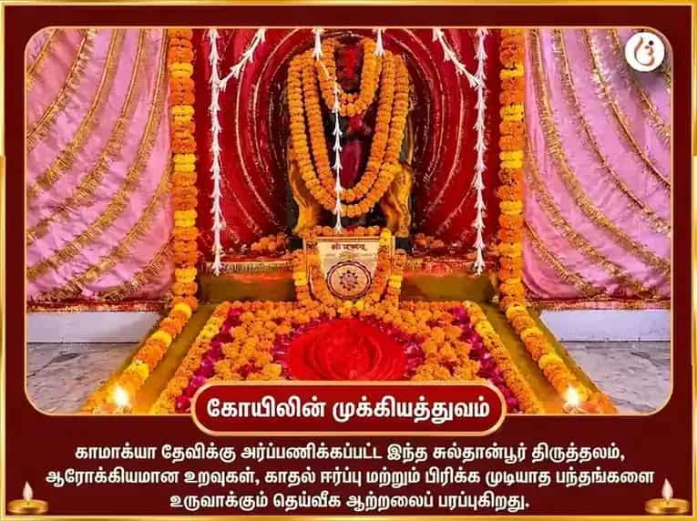 கௌஷிகி அமாவாசை விசேஷ காமாக்யா அம்பிகா சக்தி மஹா தந்திர யாகம் மற்றும் சர்வ கர்ம காமேஷ்டி ஹவனம் puja gallery 4