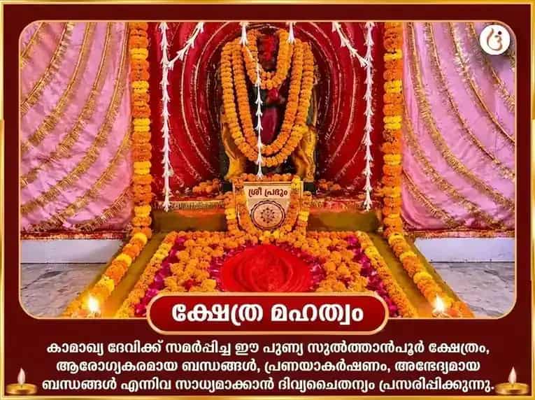 കൗശികി അമാവാസി വിശേഷ് കാമാഖ്യ അംബിക ശക്തി മഹാ തന്ത്ര യജ്ഞവും സർവ്വ കർമ്മ കാമേഷ്ടി ഹവനവും puja gallery 4