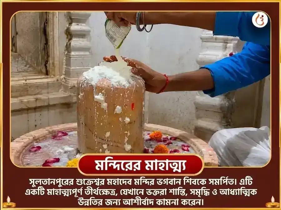 শুক্রবার বিশেষ শুক্রেশ্বর মহাদেব 24,000 শুক্র গায়ত্রী মন্ত্র জপ ও টক দই অভিষেক puja gallery 4