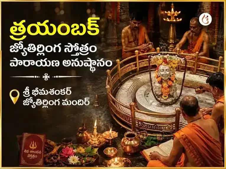 భీమాశంకర్ జ్యోతిర్లింగ విశేష్ త్రయంబక జ్యోతిర్లింగం స్తోత్ర పాఠం puja image 1