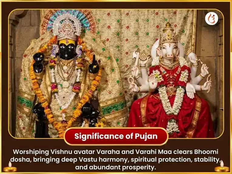 Varaha Jayanti Vishesh Varaha Varahi Bhoomi Samridhi Vastu Shanti Maha Hawan & Shri Varaha Puran Paath puja gallery 6