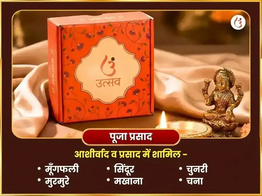 शुक्रवार विशेष अष्ट लक्ष्मी धन धान्य मुक्ति वैभव महापूजा puja gallery 3