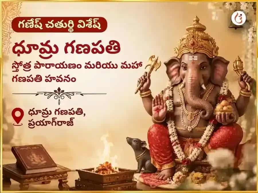 గణేశ చతుర్థి విశేష్ ధూమ్ర గణపతి స్తోత్ర పారాయణం & మహా గణపతి హవనం puja image 1