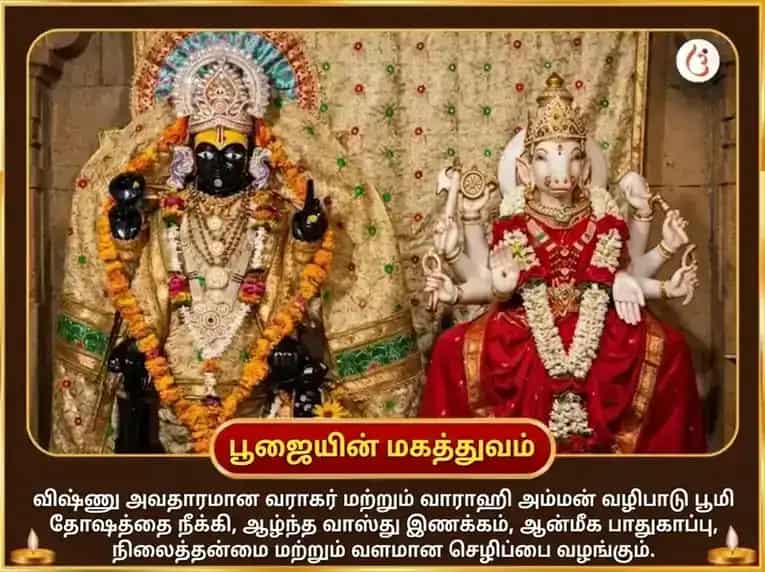 வராக ஜெயந்தி விசேஷ வராக வாராஹி பூமி சம்ரிதி வாஸ்து சாந்தி மகா ஹவன் மற்றும் ஸ்ரீ வராக புராண பாடம் puja gallery 6