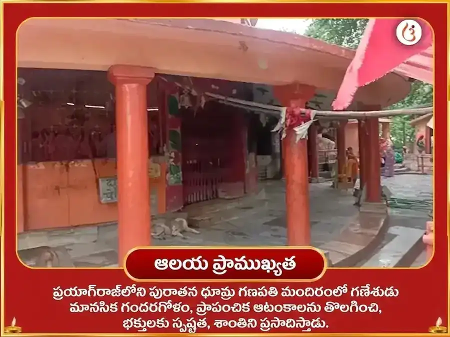 గణేశ చతుర్థి విశేష్ ధూమ్ర గణపతి స్తోత్ర పారాయణం & మహా గణపతి హవనం puja gallery 4