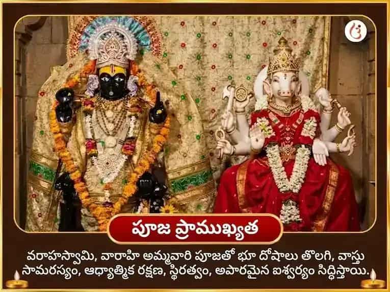 వరాహ జయంతి విశేష్ వరాహ వారాహి భూమి సమృద్ధి వాస్తు శాంతి మహా హవనం & శ్రీ వరాహ పురాణ పాఠం puja gallery 6