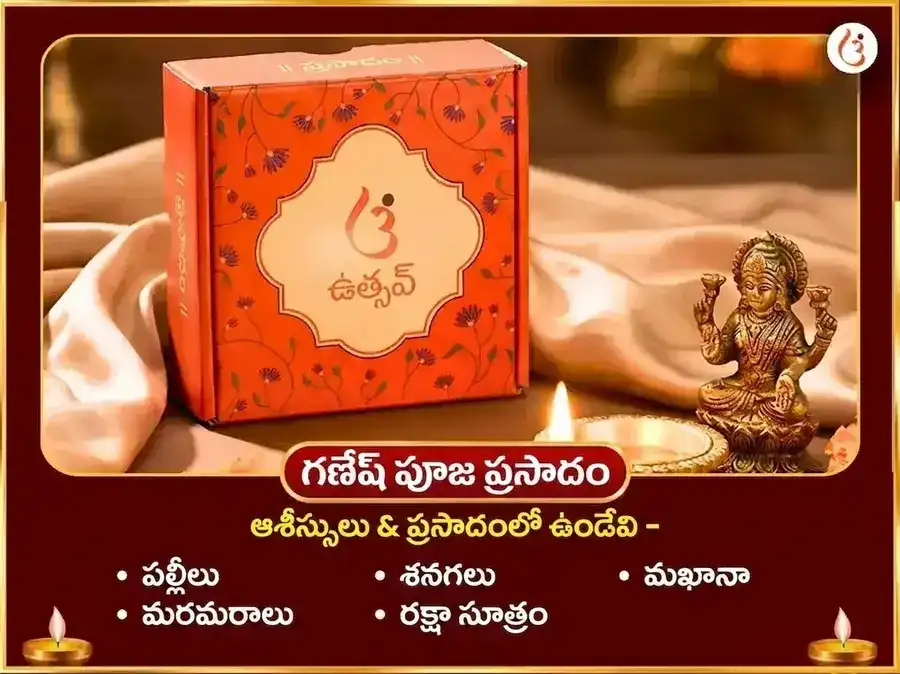 అనంత చతుర్దశి విశేష్ మహా గణపతి మహా వజ్ర కవచ అనుష్ఠాన్ & శ్రీ మహావిద్య త్రిపుర సుందరి మైలీ-విద్యా నాశక్ మహాయాగ్య puja gallery 5