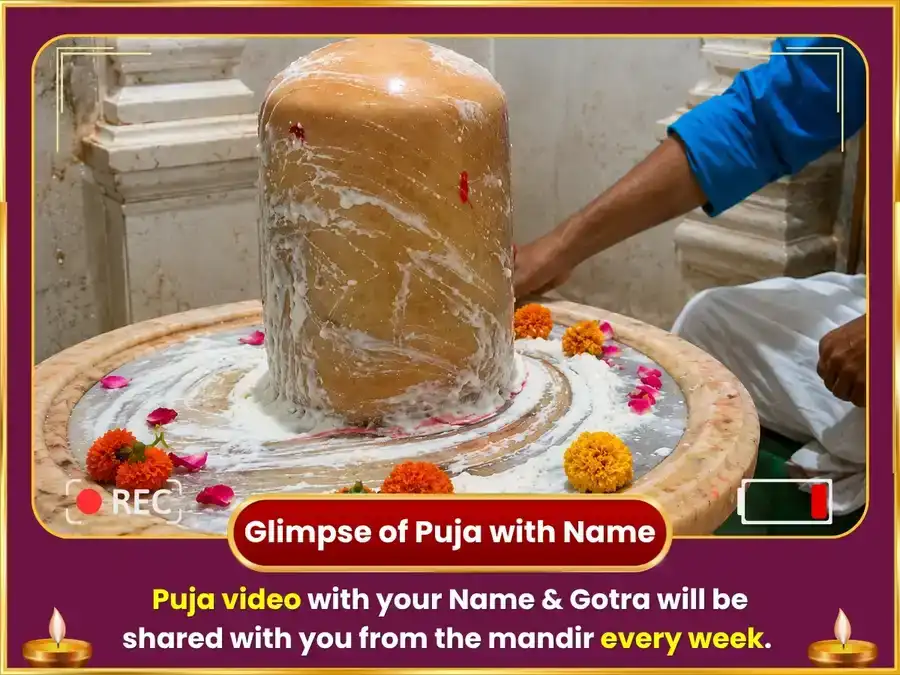Venus Enters Scorpio - Luxury Activation Sukreshwar Mahadev  Weekly Khatta Dahi Abhishek puja gallery 4