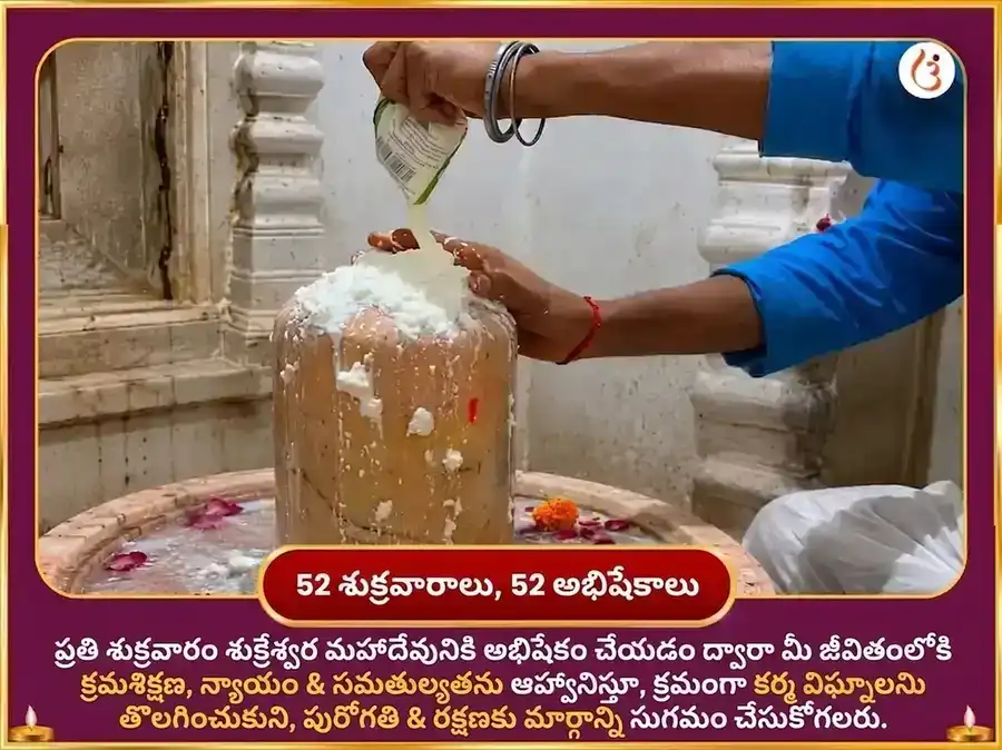 శుక్రుడు వృశ్చికరాశిలో ప్రవేశం - ఐశ్వర్య క్రియాశీలత శుక్రేశ్వర మహాదేవ వారపు పుల్లటి పెరుగు అభిషేకం puja gallery 2