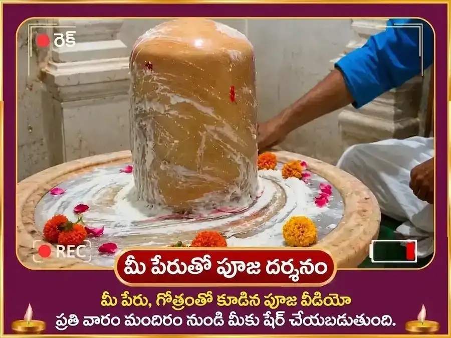 శుక్రుడు వృశ్చికరాశిలో ప్రవేశం - ఐశ్వర్య క్రియాశీలత శుక్రేశ్వర మహాదేవ వారపు పుల్లటి పెరుగు అభిషేకం puja gallery 4