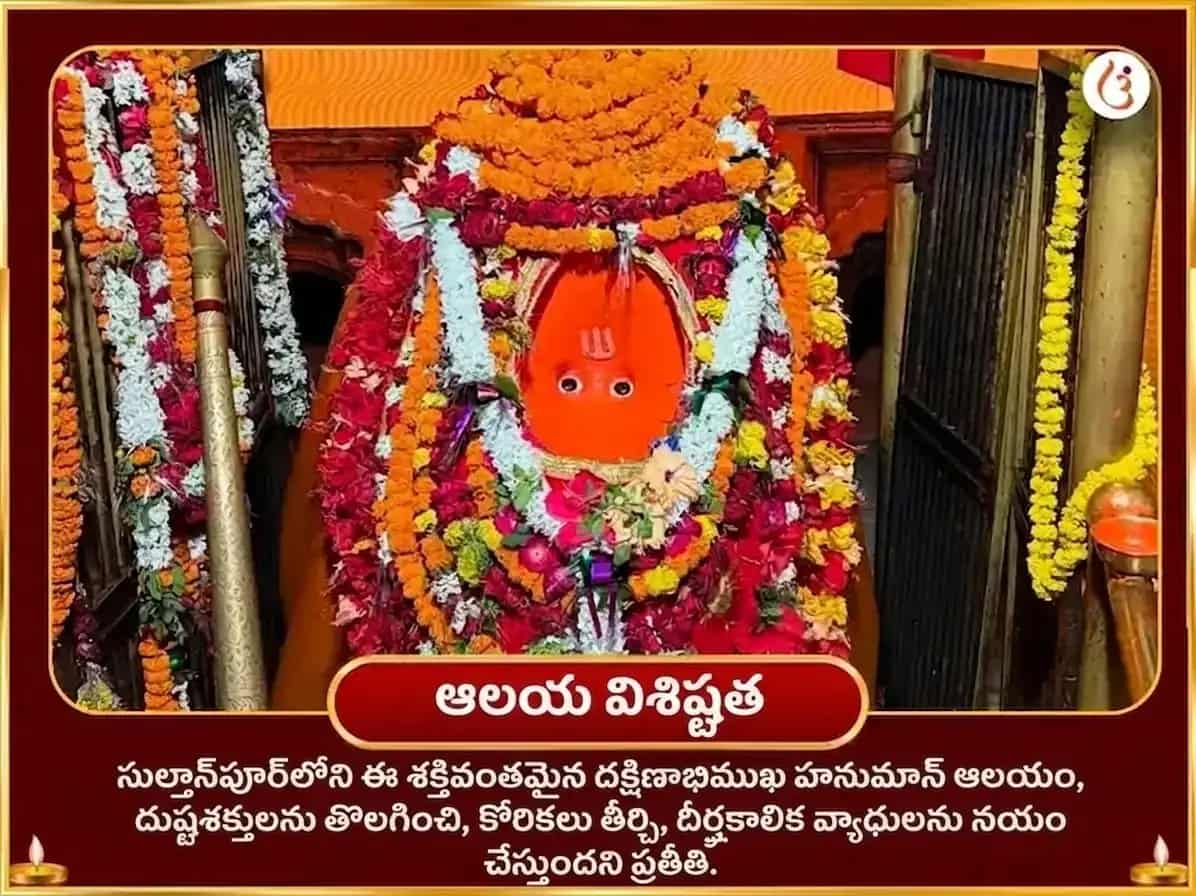 11,000 హనుమాన్ మూల మంత్ర జపం, సంపూర్ణ సుందరకాండ పఠనం & 108 నల్ల నువ్వుల హవనం puja gallery 4