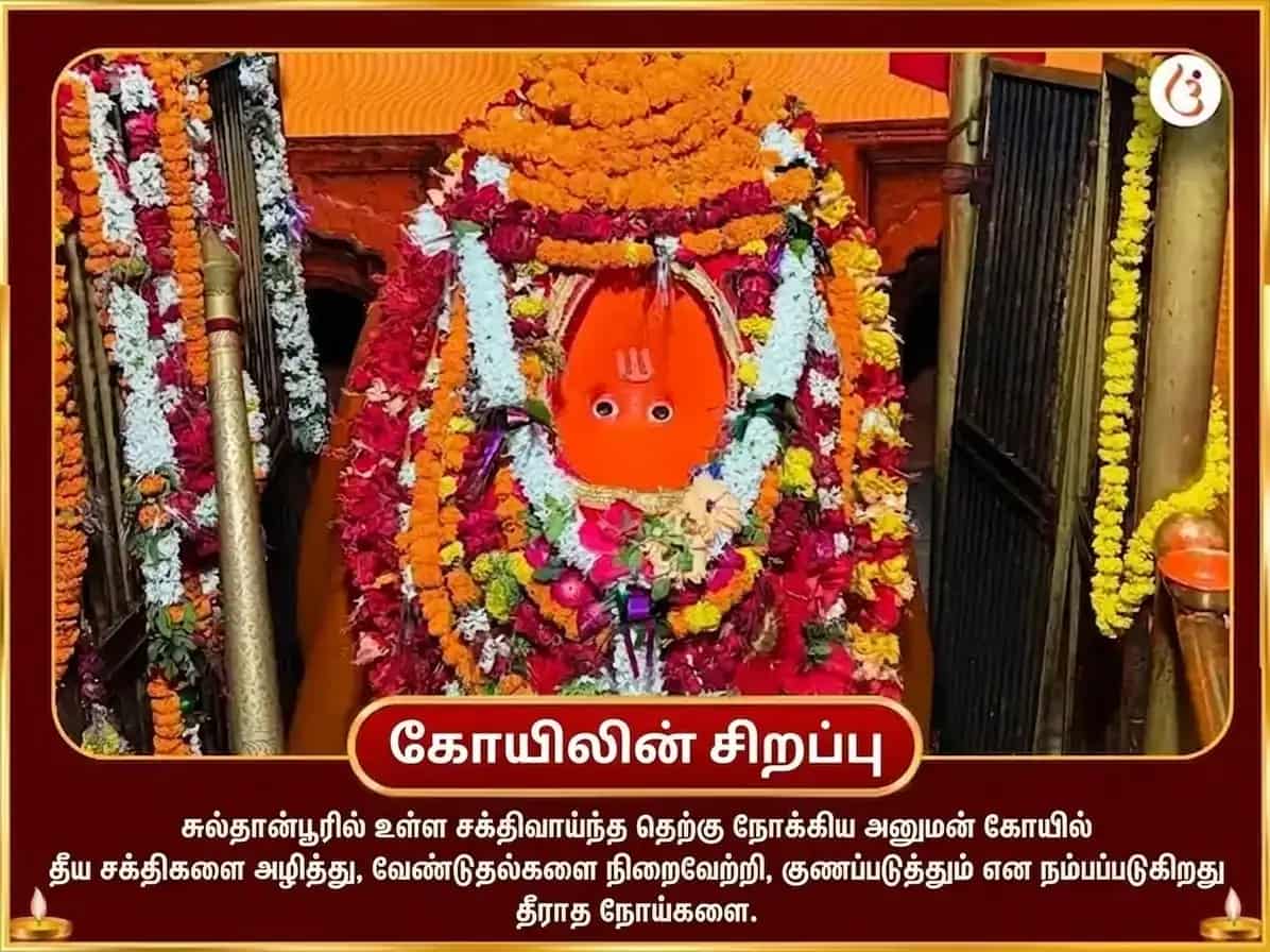 11,000 ஹனுமான் மூல மந்திர ஜபம், சம்பூர்ண சுந்தரகாண்ட பாராயணம் மற்றும் 108 கருப்பு எள் ஹவனம் puja gallery 4