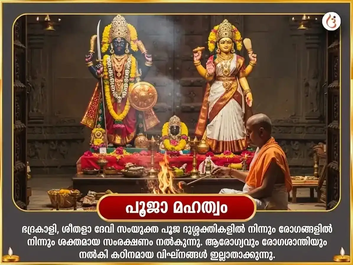 ഭുവനേശ്വരി ജയന്തി വിശേഷ് ഓലായ് ചണ്ഡി & ശീതളാ മാതാ സമ്പൂർണ്ണ രോഗ ബാധാ വിനാശക് കാളരാത്രി മഹാതന്ത്ര ഹവന അനുഷ്ഠാൻ puja gallery 5