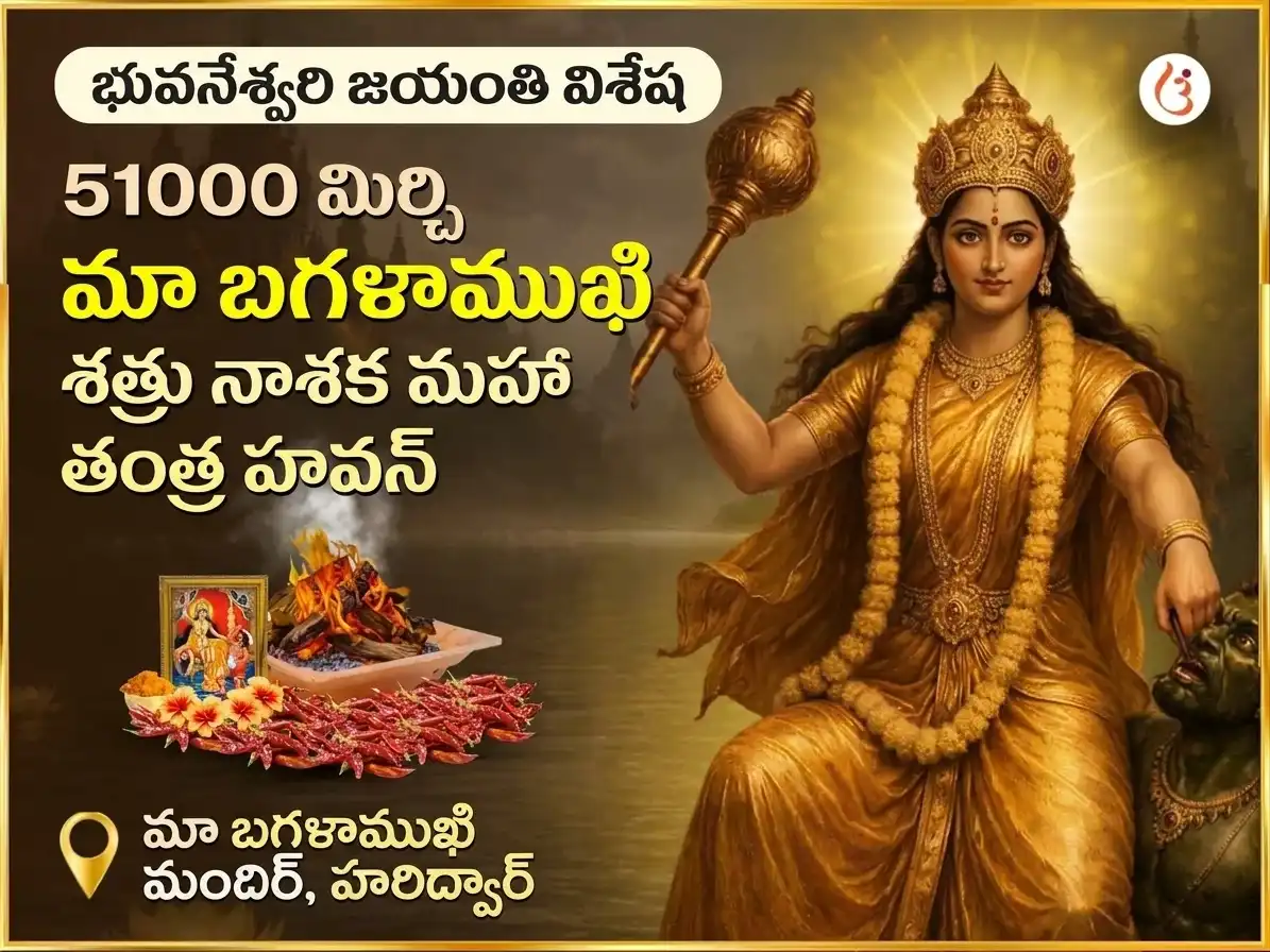 భువనేశ్వరి జయంతి విశేష 51000 మిర్చి మా బగళాముఖి శత్రు నాశక మహా తంత్ర హవనం puja image 1