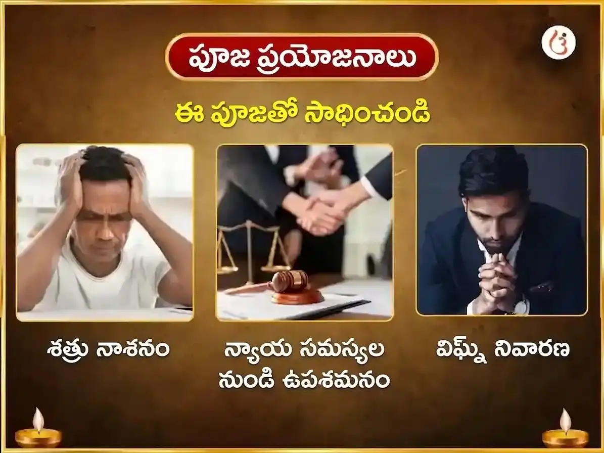 భువనేశ్వరి జయంతి విశేష 51000 మిర్చి మా బగళాముఖి శత్రు నాశక మహా తంత్ర హవనం puja gallery 1