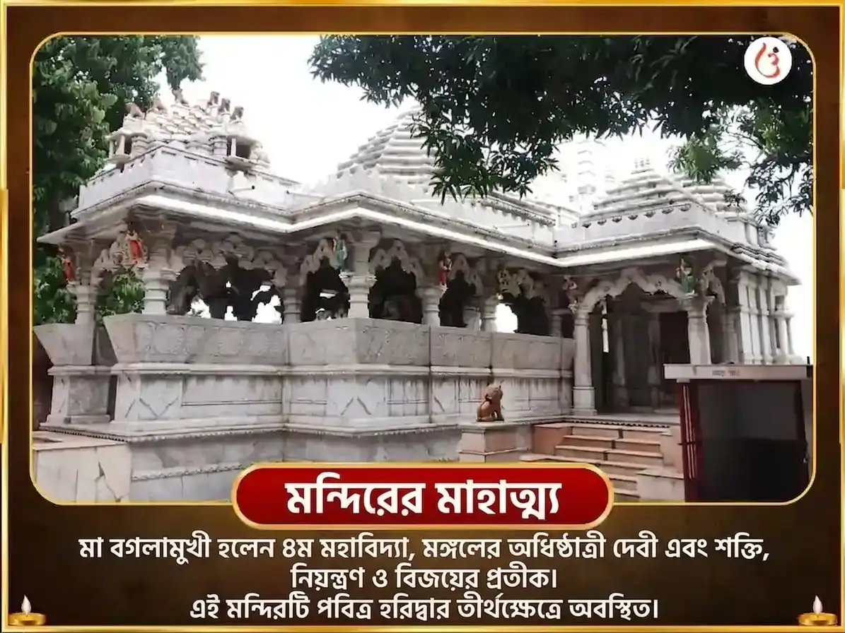 ভুবনেশ্বরী জয়ন্তী বিশেষ 51000 मिरची মা বগলামুখী শত্রু নাশক মহা তন্ত্র হবন puja gallery 4