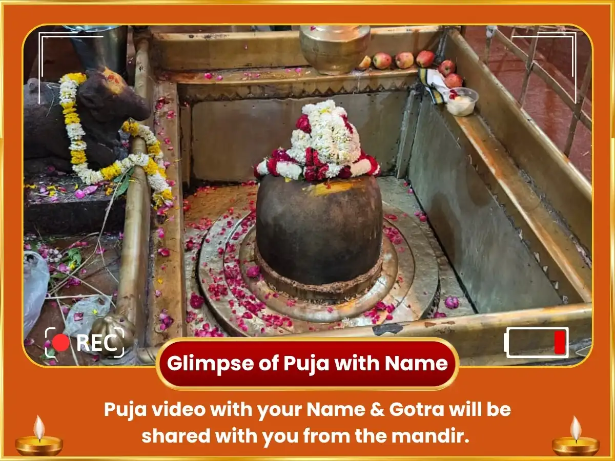 Pitra Paksh Special Pitra Dosh Nivaran & Generational Curse Cleansing Surya-Ketu Mahayagya & Pitra Chalisa Path puja gallery 2