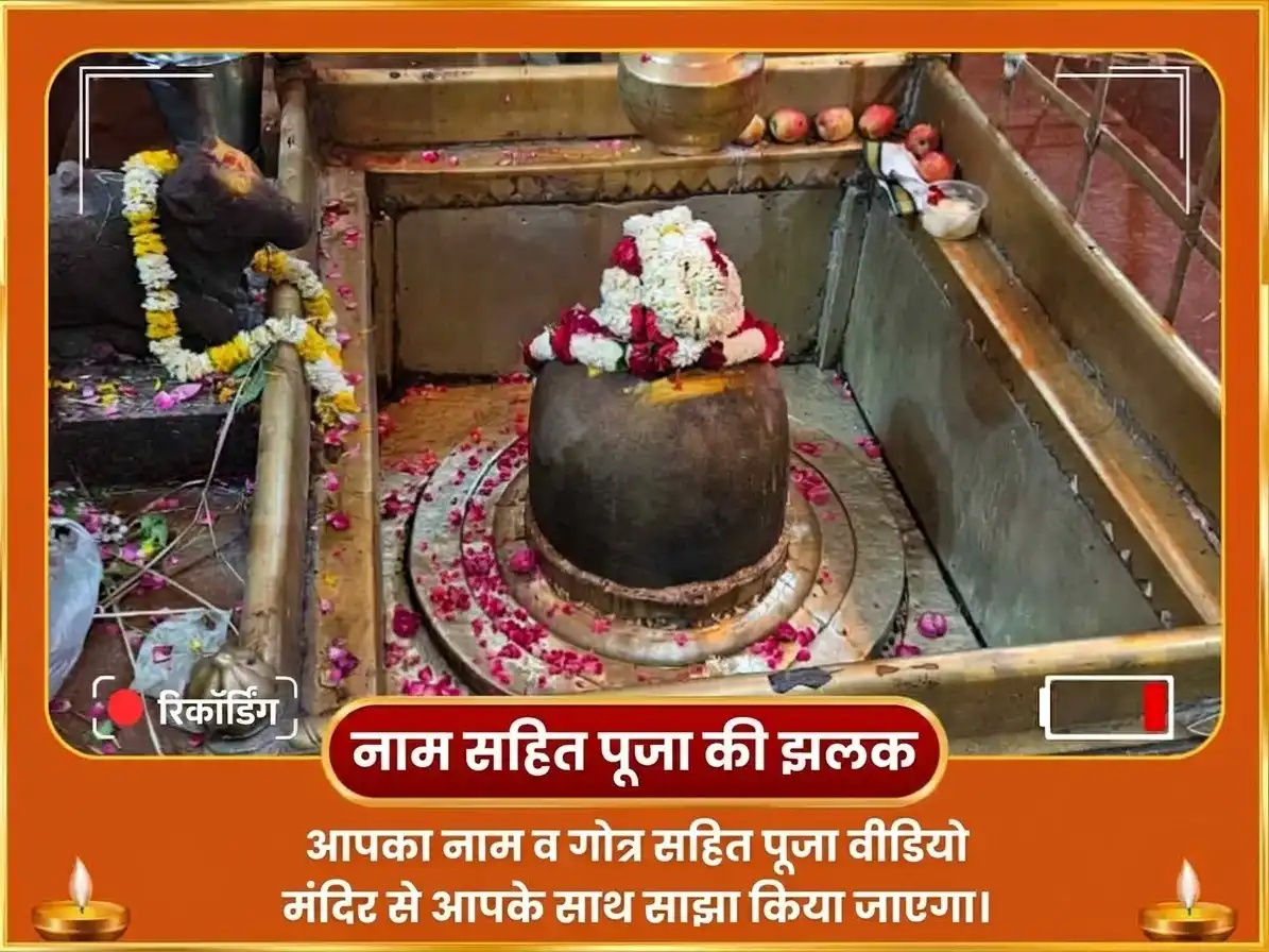 पितृ पक्ष विशेष पितृ दोष निवारण एवं वंश श्राप मुक्ति सूर्य-केतु महायज्ञ एवं पितृ चालीसा पाठ puja gallery 2