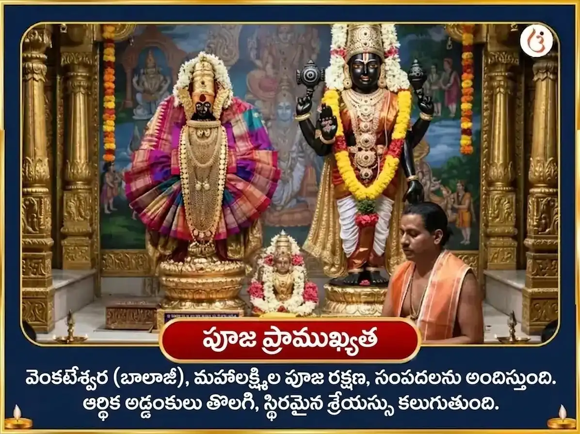 భాద్రపద పూర్ణిమ విశేష్ బాలాజీ వేంకటేశ్వర & అంబాబాయి మహాలక్ష్మి ఐశ్వర్య ప్రాప్తి సర్వ సుఖ సమృద్ధి మహా అనుష్ఠాన్ puja gallery 4